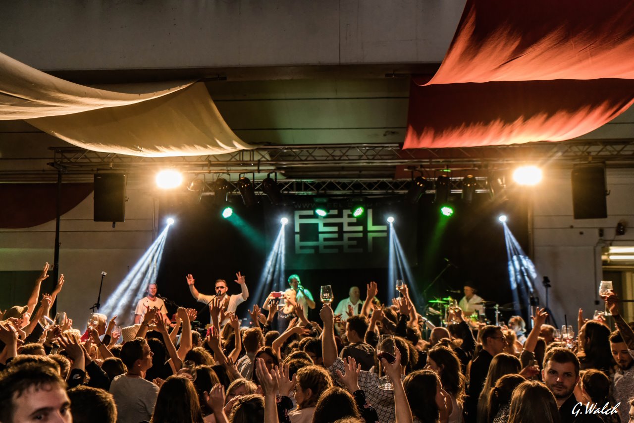 FEEL Band